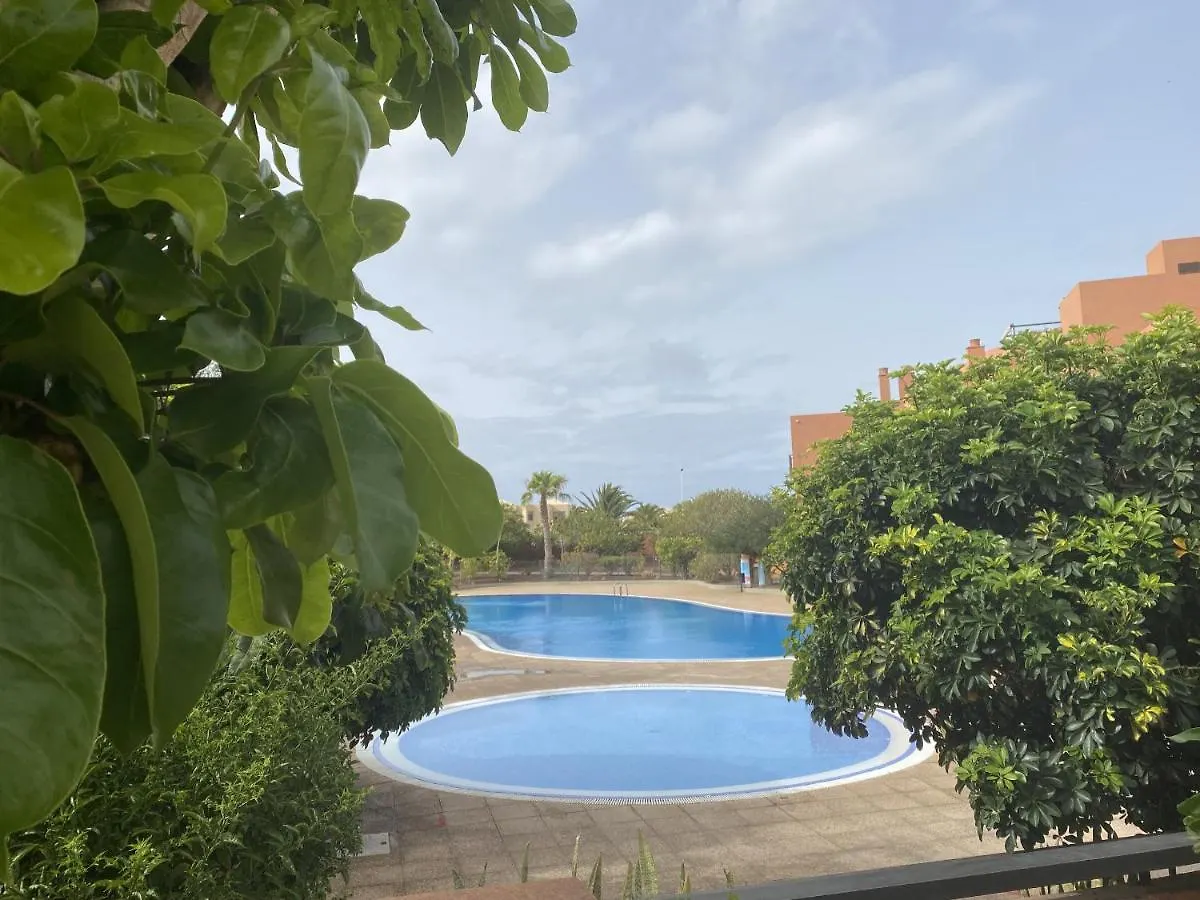 Tejita Sun Beach Holidays By Deihu Experiences El Medano  Apartment